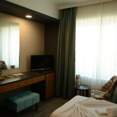 Fier Boutique Hotel - Boutique Class Турция, Кайсери - отзывы, цены и фото номеров - забронировать отель Fier Boutique Hotel - Boutique Class онлайн комната для гостей