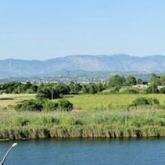 Отель Lake & River Side - All Inclusive фото 4