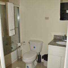 Апартаменты Ocho Rios Palm View Villa And Apartments Очо-Риос ванная