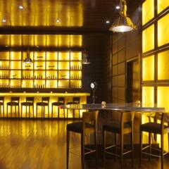 Radisson Blu Hotel New Delhi Dwarka гостиничный бар