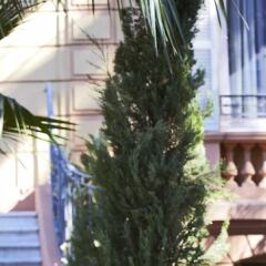 Отель Golden Tulip Cannes Hotel de Paris Франция, Канны - 1 отзыв об отеле, цены и фото номеров - забронировать отель Golden Tulip Cannes Hotel de Paris онлайн фото 7