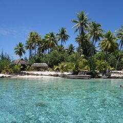 Отель Tahiti Sail and Dive Французская Полинезия, Бора-Бора - отзывы, цены и фото номеров - забронировать отель Tahiti Sail and Dive онлайн пляж фото 3