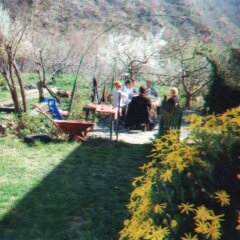 Отель Agriturismo Gli Orti Италия, Кьюзанико - отзывы, цены и фото номеров - забронировать отель Agriturismo Gli Orti онлайн приотельная территория