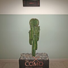 Апартаменты The Como Vo Thi Sau Luxury Apartment Хошимин интерьер отеля
