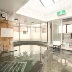 Hotel Ikebukuro Sauna & Capsule - Men Only бассейн фото 2