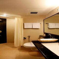 Отель The Sea Horse Resort Индия, Северный Гоа - отзывы, цены и фото номеров - забронировать отель The Sea Horse Resort онлайн ванная