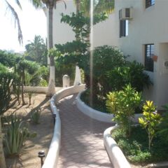 Отель Park Royal Los Cabos Сан-Хосе-дель-Кабо фото 10