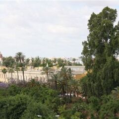 Отель Alcazar Испания, Севилья - отзывы, цены и фото номеров - забронировать отель Alcazar онлайн фото 2