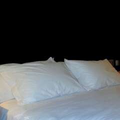 Arena Ipanema Hotel с домашними животными