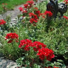 Отель Country Inn at Camden/Rockport фото 6