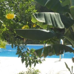 Отель Peyia Villas Cyprus Кипр, Пейя - отзывы, цены и фото номеров - забронировать отель Peyia Villas Cyprus онлайн пляж
