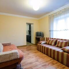 Апартаменты Economy Apartment Doroshenka 48 Львов комната для гостей фото 3