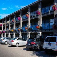 Отель Accent Inns Burnaby Канада, Бурнаби - 1 отзыв об отеле, цены и фото номеров - забронировать отель Accent Inns Burnaby онлайн фото 6
