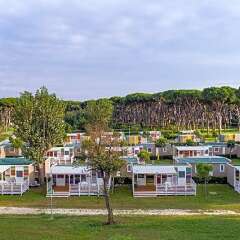 Отель Camping Village Roma Capitol Италия, Казаль Палоччо - отзывы, цены и фото номеров - забронировать отель Camping Village Roma Capitol онлайн фото 11