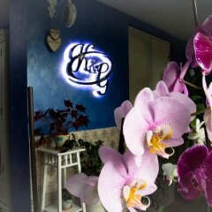 Гостиница Kay & Gerda Inn гостиничный бар