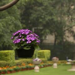 Отель Taj Palace, New Delhi Нью-Дели фото 5