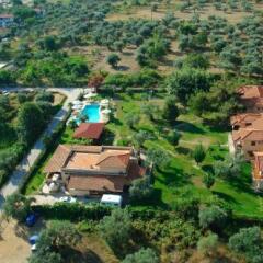 Ariadni Hotel Bungalows развлечения