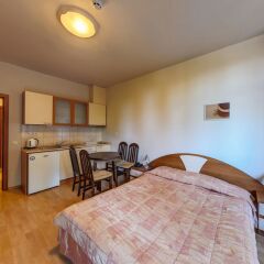Отель Flora hotel apartments Болгария, Боровец - отзывы, цены и фото номеров - забронировать отель Flora hotel apartments онлайн в номере
