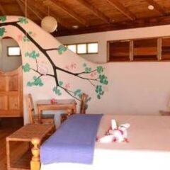 Отель Coral Cove Resort & Spa комната для гостей