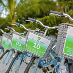 Ally Beach Boutique Hotel Hoian спа