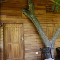 Отель Wilpattu Tree House Hotel Шри-Ланка, Анурадхапура - отзывы, цены и фото номеров - забронировать отель Wilpattu Tree House Hotel онлайн сауна