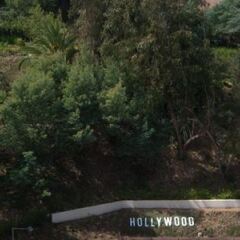 Отель Hilton Garden Inn Los Angeles/Hollywood Лос-Анджелес фото 7
