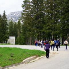 Отель Lucky Bansko Aparthotel SPA & Relax спортивное сооружение