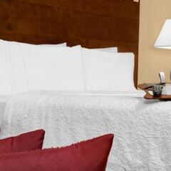Отель Hampton Inn Manhattan-Times Square North США, Нью-Йорк - 1 отзыв об отеле, цены и фото номеров - забронировать отель Hampton Inn Manhattan-Times Square North онлайн в номере