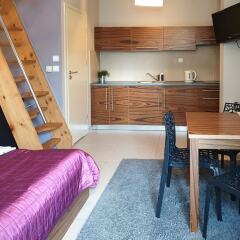 Отель Apartamenty Brzozowa - Centrum Закопане фото 20