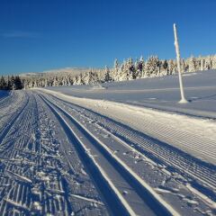 Отель Lillehammer Fjellstue спортивное сооружение