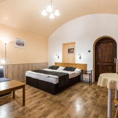 Отель Aparthotel Davids Чехия, Прага - отзывы, цены и фото номеров - забронировать отель Aparthotel Davids онлайн комната для гостей фото 2