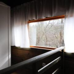 Гостиница Wood House в Звенигороде отзывы, цены и фото номеров - забронировать гостиницу Wood House онлайн Звенигород ванная