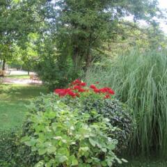 Hotel Gioia Garden Фьюджи