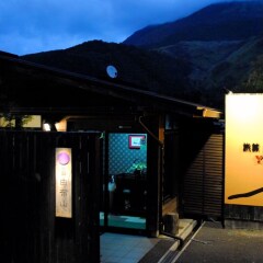 Отель Ryokan Yufusan Хидзи развлечения