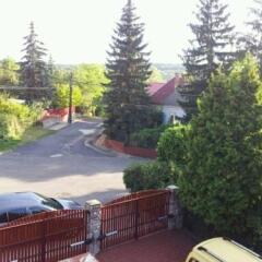 Отель Villa Max Венгрия, Силвашварад - отзывы, цены и фото номеров - забронировать отель Villa Max онлайн