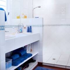 Villa Luz in Gustavia, Saint Barthelemy from 4724$, photos, reviews - zenhotels.com bathroom