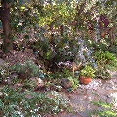 Отель L'Oasis du Vieux-Longueuil Канада, Лонгёй - отзывы, цены и фото номеров - забронировать отель L'Oasis du Vieux-Longueuil онлайн