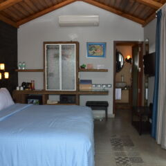 Отель The Baga Beach Resort Индия, Бага - отзывы, цены и фото номеров - забронировать отель The Baga Beach Resort онлайн комната для гостей фото 2