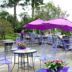 Отель Empress Hotel Dalat Вьетнам, Далат - отзывы, цены и фото номеров - забронировать отель Empress Hotel Dalat онлайн помещение для мероприятий