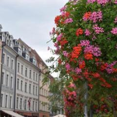 Отель Liberty Mansard Латвия, Рига - отзывы, цены и фото номеров - забронировать отель Liberty Mansard онлайн фото 6