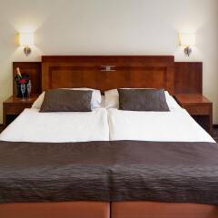 Отель Luxury Family Hotel Bila Labut Чехия, Прага - - забронировать отель Luxury Family Hotel Bila Labut, цены и фото номеров комната для гостей