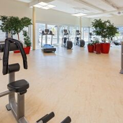 Metropole Swiss Quality Interlaken Hotel фитнесс-зал фото 3
