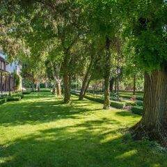 Отель Algara Beach Hotel - All Inclusive Болгария, Кранево - отзывы, цены и фото номеров - забронировать отель Algara Beach Hotel - All Inclusive онлайн фото 4