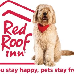 Отель Red Roof Inn PLUS+ Columbus-Ohio State University OSU США, Колумбус - отзывы, цены и фото номеров - забронировать отель Red Roof Inn PLUS+ Columbus-Ohio State University OSU онлайн с домашними животными