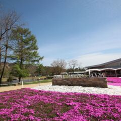 APA Hotel Karuizawa-Ekimae Karuizawaso спа фото 2