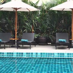 Signature Pattaya Hotel с домашними животными