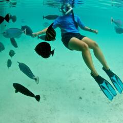 Отель Le Meridien Bora Bora Французская Полинезия, Бора-Бора - отзывы, цены и фото номеров - забронировать отель Le Meridien Bora Bora онлайн спортивное сооружение