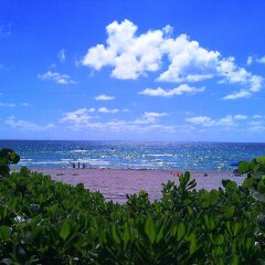Отель Holiday Inn Miami Beach-Oceanfront пляж фото 2