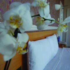 The Brighton Hotel комната для гостей фото 2