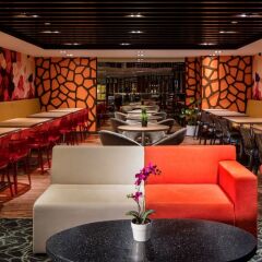 Отель Park Avenue Clemenceau развлечения